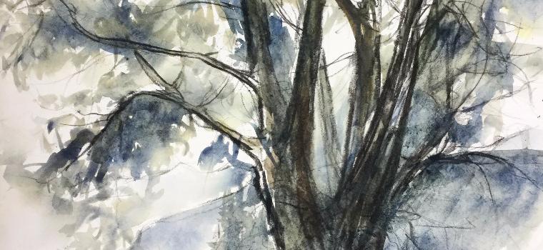 alter Riedbaum | 1984 | Lothar Märk