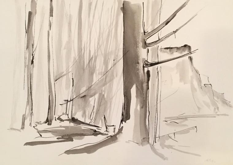 Buchenau | 1981 | Lothar Märk