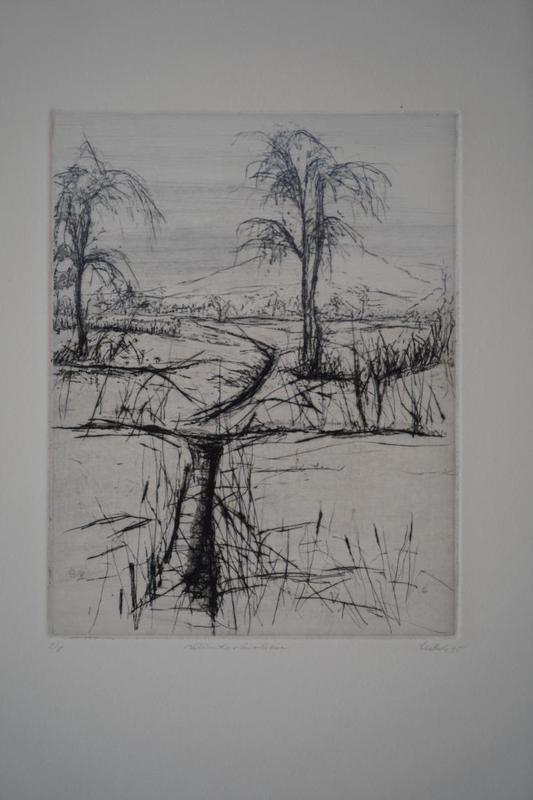 Märk - Winterbirken  | 1995 | Lothar Märk