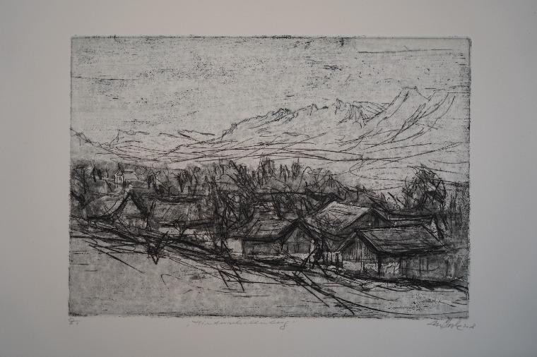 Märk - Hinterschellenberg | 2008 | Lothar Märk