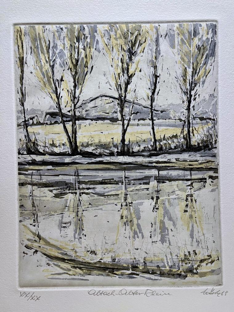 Märk - Altach - Alter Rhein - Sauwinkel | 1989 | Lothar Märk