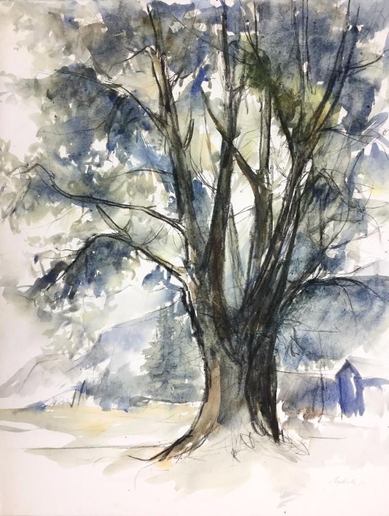 alter Riedbaum | 1984 | Lothar Märk